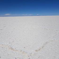 Its salt everywhere