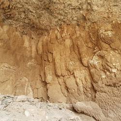Fossilized coral on the ceiling of the cave
