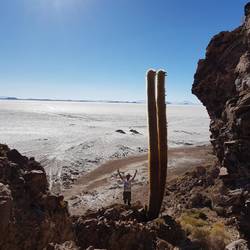 A huge cactus at the cave mouth. Observe Hristo looking tiny next to it