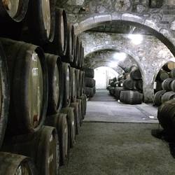 Huge port wine barrels at the winery "Croft"!
