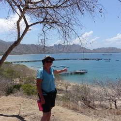 Blick von oben über die Bucht