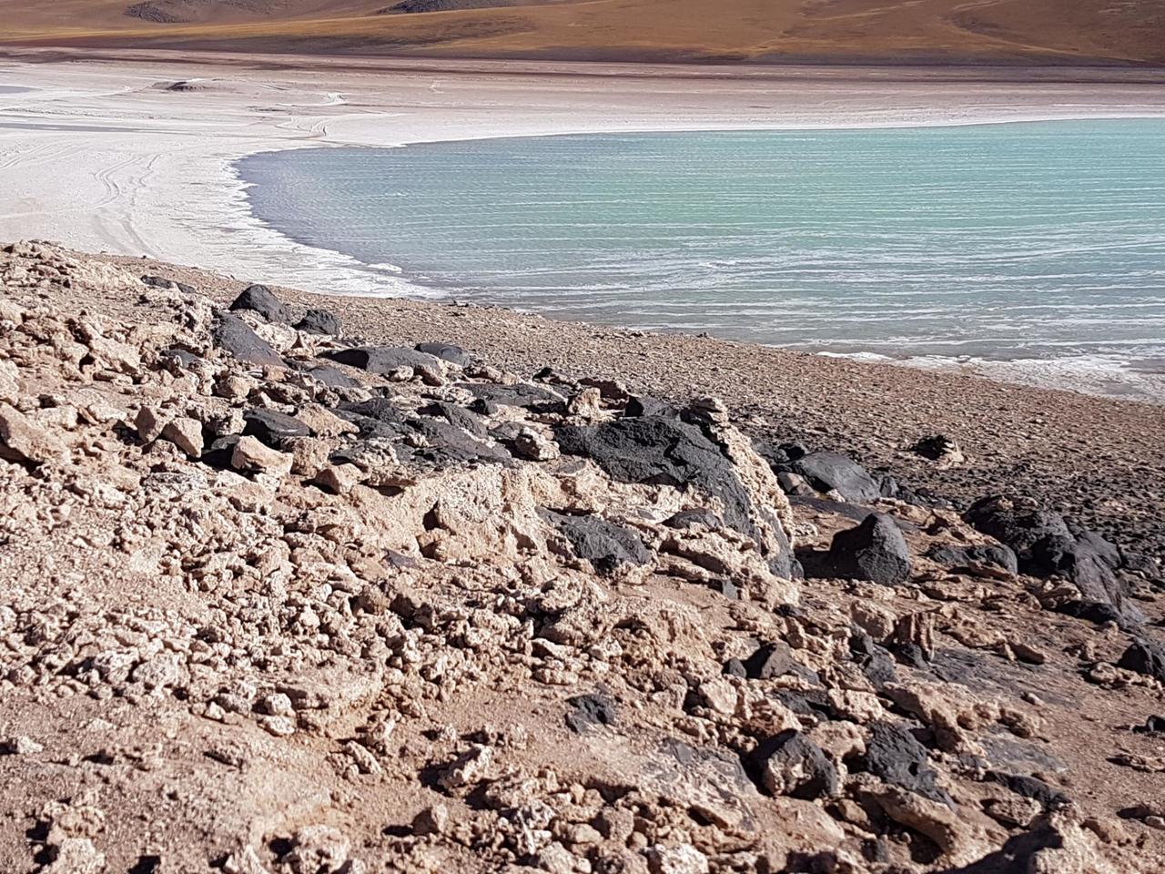 Layers of foam on the lake surface