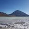 Arsenic and other heavy metals forming a foam on the lake