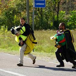 Die Strassenüberquerung ist der wohl gefährlichste Teil😨