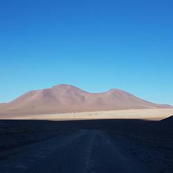 Salvador Dali's Desert