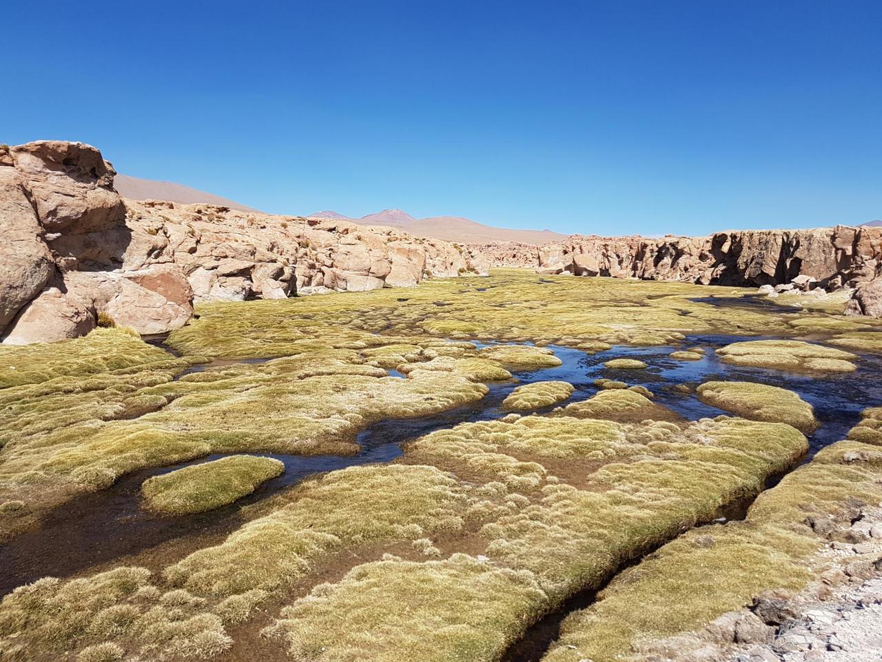 Wetland in a canyon