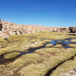 Wetland in a canyon