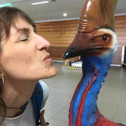 Cassowary birds are only found here in Queensland