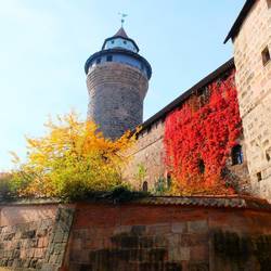 Beautiful autumn colours