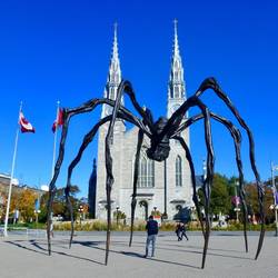 From spider to Notre Dame Basillica
