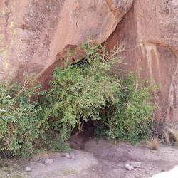 Cave entrance