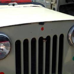 Cute face on headlights