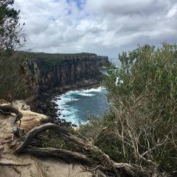 Looking north from North head