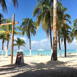 Breakfast views