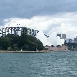 View on the way to Mrs Macquarie's chair