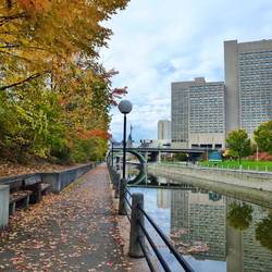 Rideau Canal