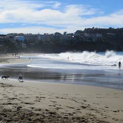 Baker Beach