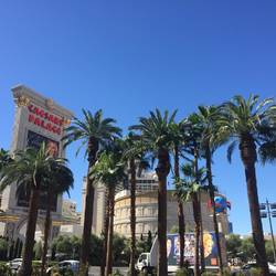 Cesar's Palace