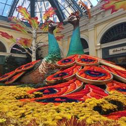 Herbstdeko aus echten Rosen im Bellagio