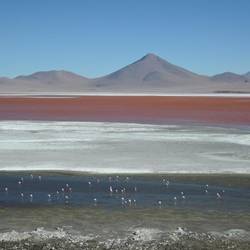 Laguna Colorada