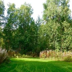 Back yard leads into the wilderness
