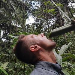 Drinking water from bamboo