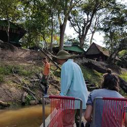 Off in search of Anacondas