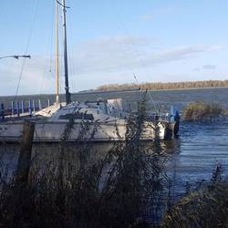 Stillleben am Rande des Bodden