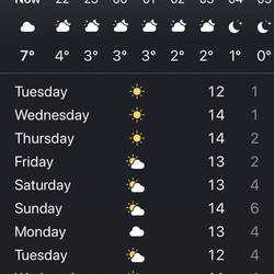 Weather looks good for some mountain views