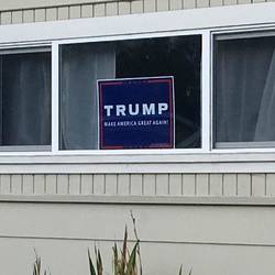 Offenes politisches Bekenntnis