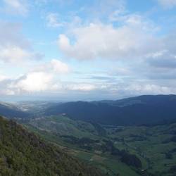 Hawkes Lookout