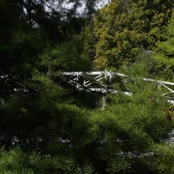 Queens Garden