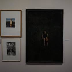 The Suter Art Gallery