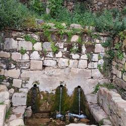 Fountain of Youth