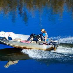 Two of the sled dogs going back to the kennels.