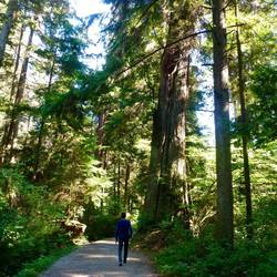 The Fleet Foxes warming up in the Malkin Bowl.