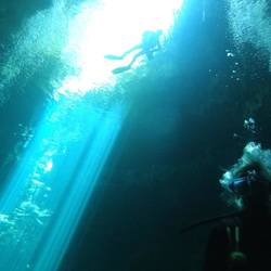 The pit cenote