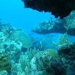 Diving at the second biggest reef in the world