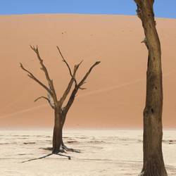 Death Vlei