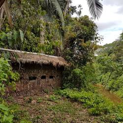 Observation hut