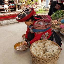 Grating the root of the Sakhta