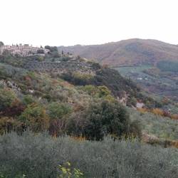 View of Collepino