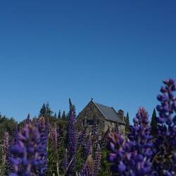 Church of the Good Sheppard