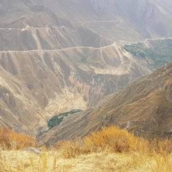 Sangalle oasis in the canyon
