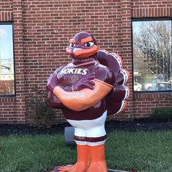 Hokie- Virginia Tech's mascot