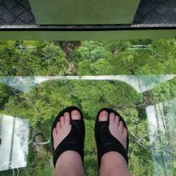 View from my own personal glass bottom sky rail car.
