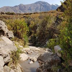 Stream flowing along the path