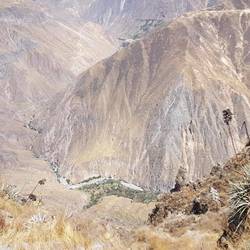 Bottom of the canyon 1 km down