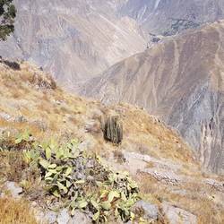 Path going down