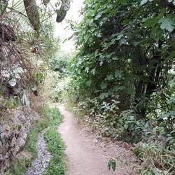A beautiful path
